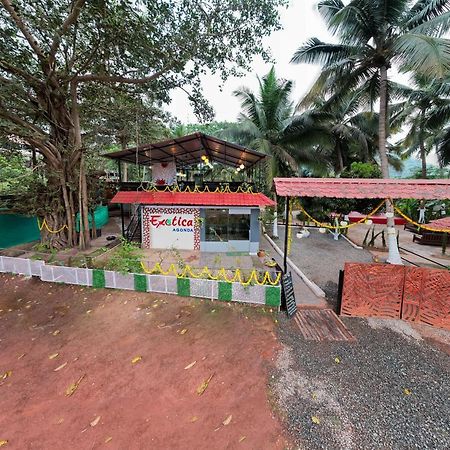 The Exotica Agonda Hotel ภายนอก รูปภาพ