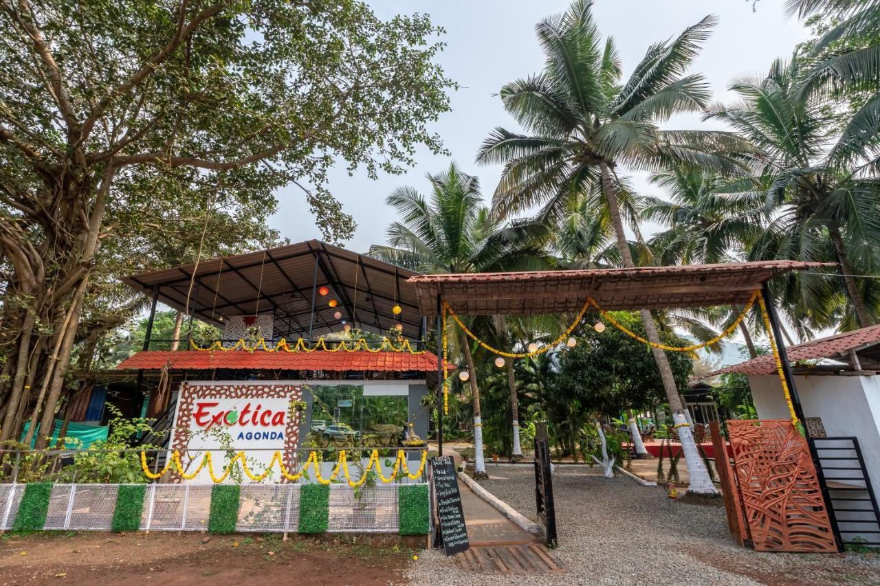 The Exotica Agonda Hotel ภายนอก รูปภาพ