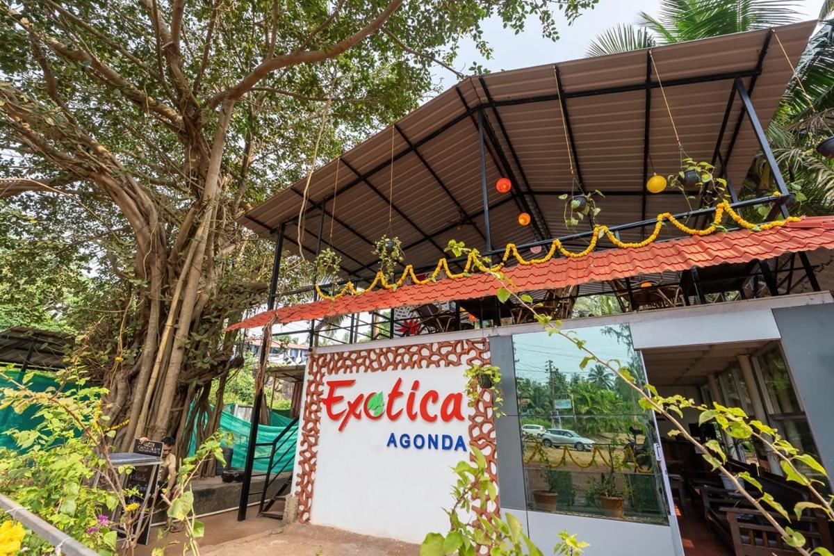 The Exotica Agonda Hotel ภายนอก รูปภาพ