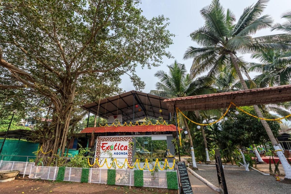 The Exotica Agonda Hotel ภายนอก รูปภาพ